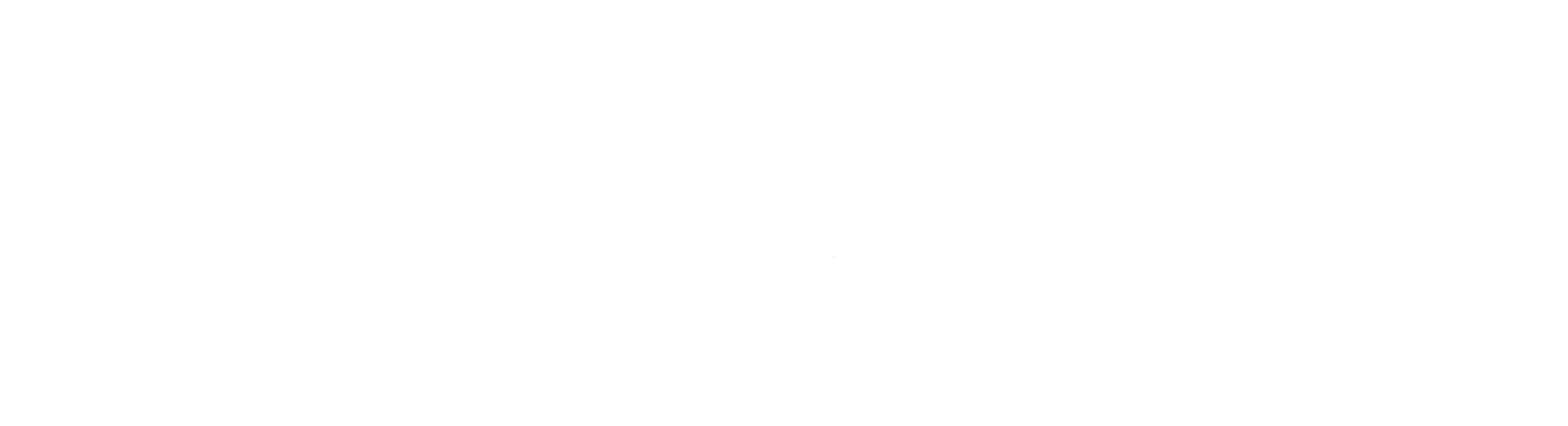 The Council on Critical Infrastructure